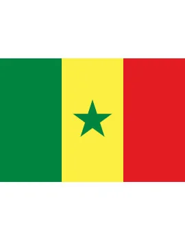Bandiera Senegal - 150x90 cm