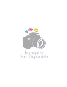 Tamburo Originale Ricoh D127-2110 (Nero 45000 pagine)