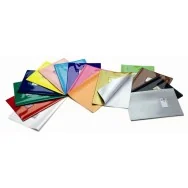 Copriquaderno Maxi Colorosa Riplast - 21x30 cm - 36718034 (Argento Conf. 25)