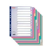 Intercalare in PPL Esselte - A4 Maxi - 12 Tasti - 20649 (Multicolore)