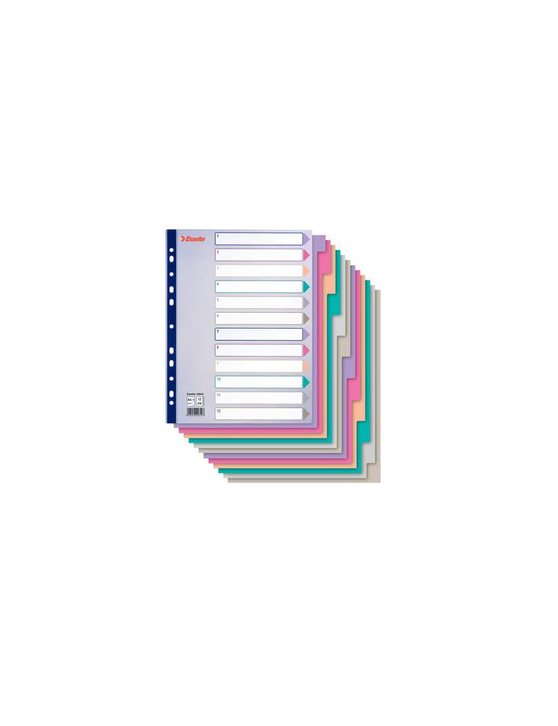 Intercalare in PPL Esselte - A4 Maxi - 12 Tasti - 20649 (Multicolore) Intercalare in PPL Esselte - A4 Maxi - 12 Tasti - 20649 (Multicolore)