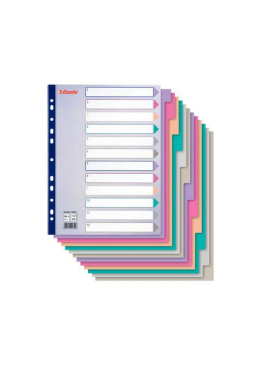 Intercalare in PPL Esselte - A4 Maxi - 12 Tasti - 20649 (Multicolore)