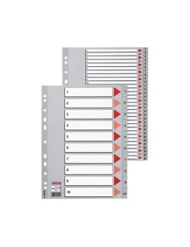 Rubrica Numerica in PPL Esselte - A4 - 31 Tasti - 100108 (Grigio)