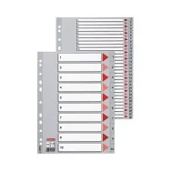 Rubrica Numerica in PPL Esselte - A4 - 31 Tasti - 100108 (Grigio)