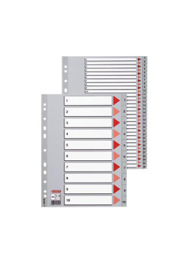 Rubrica Numerica in PPL Esselte - A4 - 31 Tasti - 100108 (Grigio)
