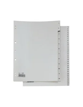 Separatori Numerici Record in PP Sei Rota - 12 Tasti - 581201 (Grigio)