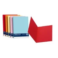 Cartellina in Cartoncino Simplex Luce&Acqua Favini - 25x34 cm - A506664 (Grafite Conf. 50)