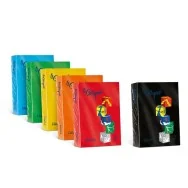 Carta Colorata Le Cirque Favini - A4 - 80 g - A71A504 (Nero Conf. 500)