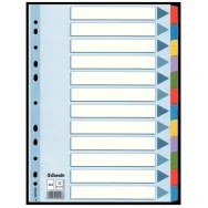 Intercalari Multicolor in Mylar Esselte - 12 Tasti - 100169 (Multicolore)