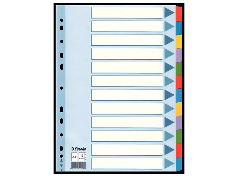 Intercalari Multicolor in Mylar Esselte - 12 Tasti - 100169 (Multicolore) Intercalari Multicolor in Mylar Esselte - 12 Tasti - 100169 (Multicolore)