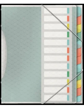 Classificatore Colour'Ice Esselte - 12 Scomparti - 26,6x32 cm - 626256 (Multicolor)
