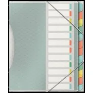 Classificatore Colour'Ice Esselte - 12 Scomparti - 26,6x32 cm - 626256 (Multicolor)