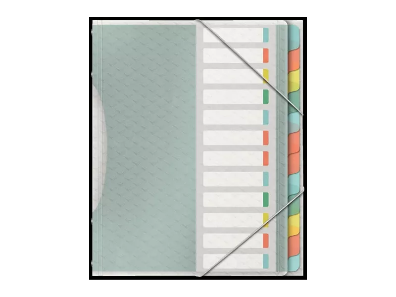 Classificatore Colour'Ice Esselte - 12 Scomparti - 26,6x32 cm - 626256 (Multicolor) Classificatore Colour'Ice Esselte - 12 Scomparti - 26,6x32 cm - 626256 (Multicolor)