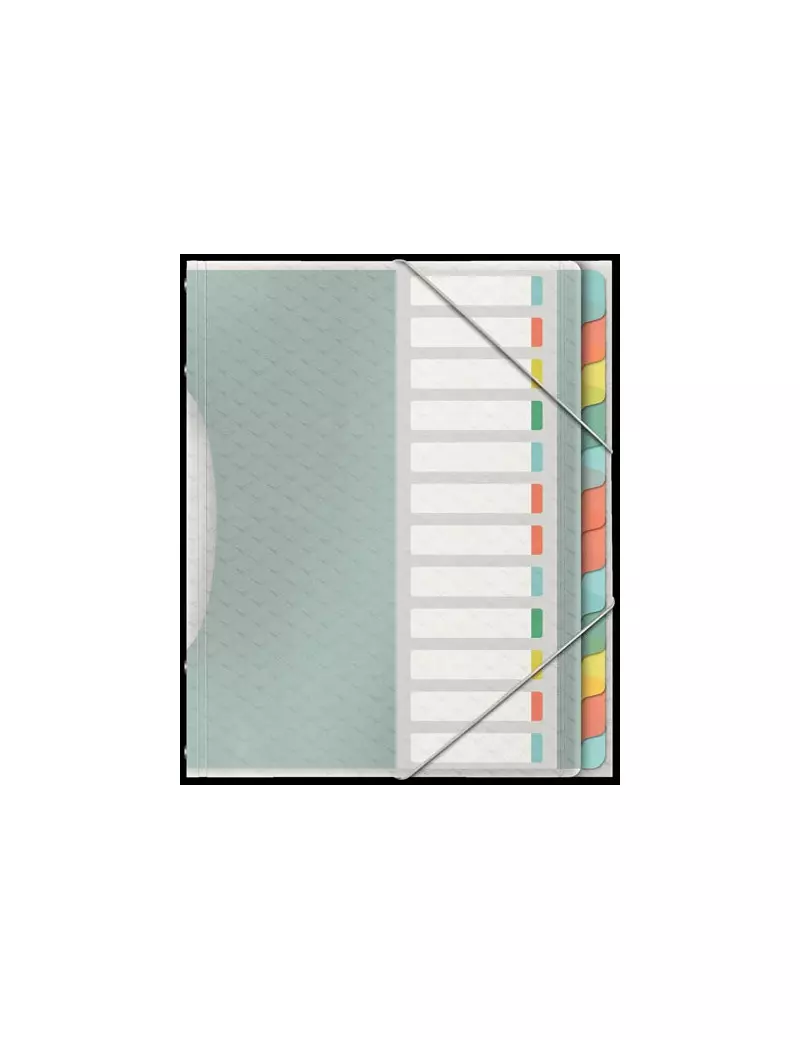 Classificatore Colour'Ice Esselte - 12 Scomparti - 26,6x32 cm - 626256 (Multicolor)