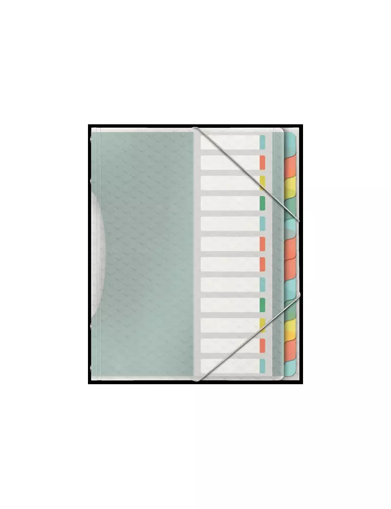 Classificatore Colour'Ice Esselte - 12 Scomparti - 26,6x32 cm - 626256 (Multicolor) Classificatore Colour'Ice Esselte - 12 Scomparti - 26,6x32 cm - 626256 (Multicolor)