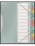 Classificatore Colour'Ice Esselte - 12 Scomparti - 26,6x32 cm - 626256 (Multicolor)