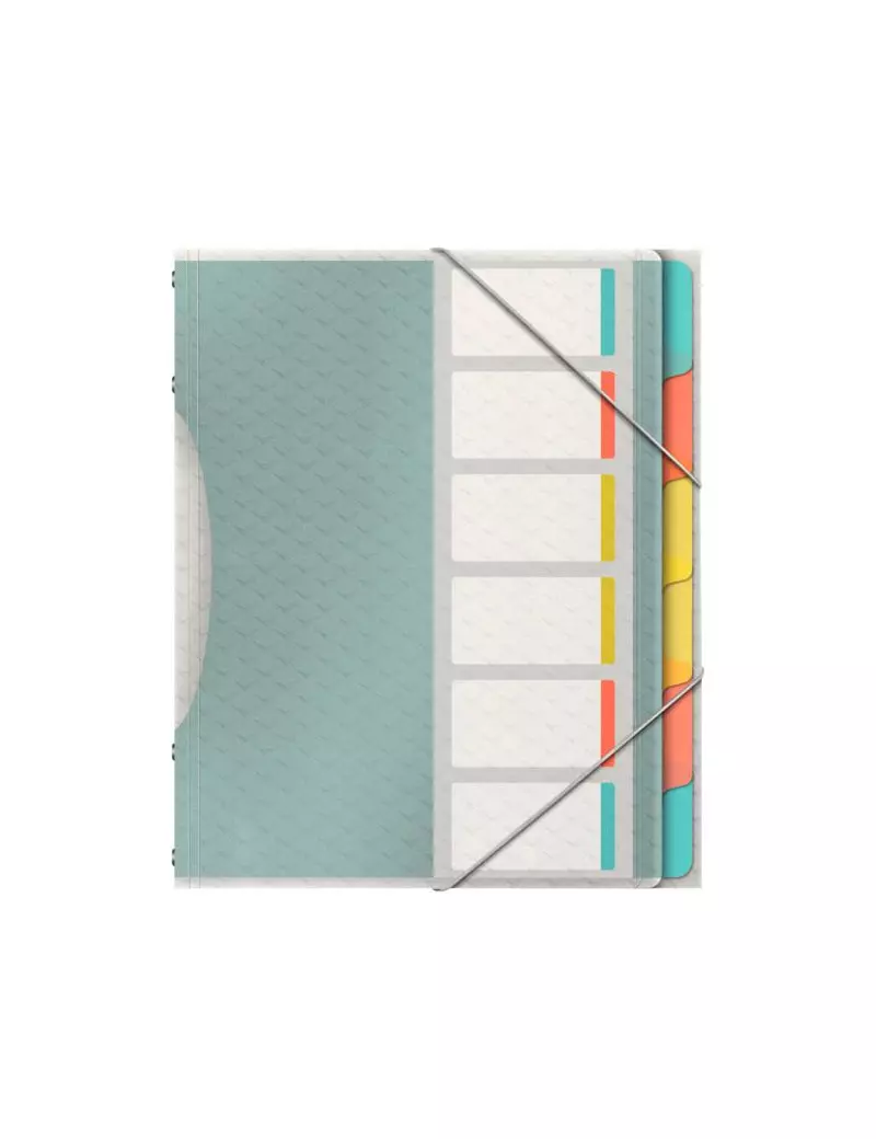 Classificatore Colour'Ice Esselte - 6 Divisori - 26,6x32 cm - 626255 (Multicolor) Classificatore Colour'Ice Esselte - 6 Divisori - 26,6x32 cm - 626255 (Multicolor)