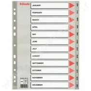 Intercalare Mensile in PPL Esselte - A4 - 12 Tasti - 100114 (Grigio)