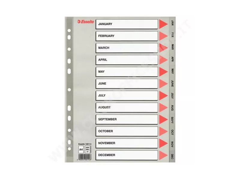 Intercalare Mensile in PPL Esselte - A4 - 12 Tasti - 100114 (Grigio) Intercalare Mensile in PPL Esselte - A4 - 12 Tasti - 100114 (Grigio)