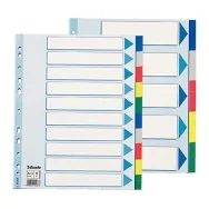 Intercalare Neutro in PPL Esselte - A4 Maxi - 5 Tasti - 152660 (Multicolore)