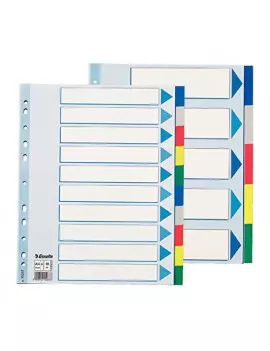 Rubrica Numerica in Mylar Esselte - A4 Maxi - 10 Tasti - 15267 (Multicolore)