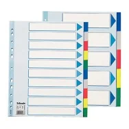 Rubrica Numerica in Mylar Esselte - A4 Maxi - 10 Tasti - 15267 (Multicolore)