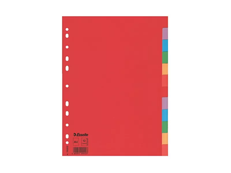 Separatori in Cartoncino Esselte - A4 - 12 Tasti - 100202 (Assortiti)
