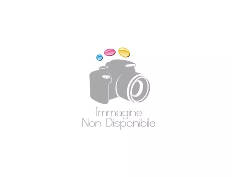 Toner Originale Lexmark B222H00 (Nero 3000 pagine) Toner Originale Lexmark B222H00 (Nero 3000 pagine)