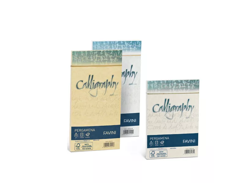 Buste Calligraphy Pergamena Favini - 11x22 cm - 90 g - A574203 (Perla Conf. 25)