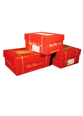 Modulo in Continuo Sabacart - 37,5x11” - Piste Staccabili Facilitate - 53 g - Carta Chimica 2 Copie - S21375116010 (Conf. 1000)