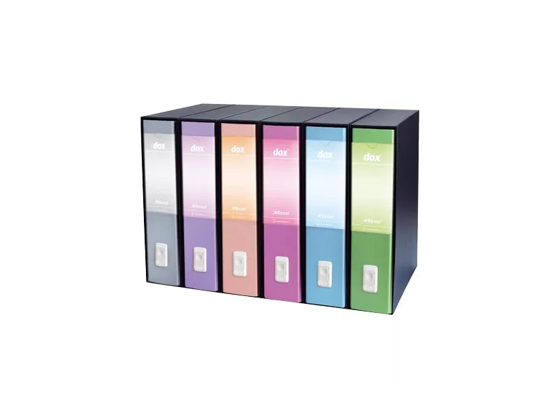 Registratore Dox 2 San Francisco Rexel - Protocollo - Dorso 8 - 23x34 cm - D15216 (Azzurro)