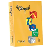 Carta Colorata Le Cirque Favini - A4 - 160 g - A74H304 (Giallo Oro Forte Conf. 250)