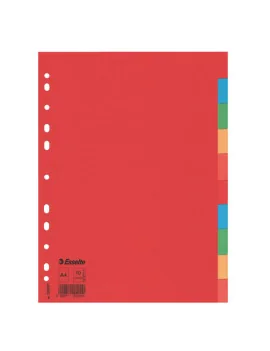 Separatori in Cartoncino Esselte - A4 - 10 Tasti - 100201 (Assortiti)