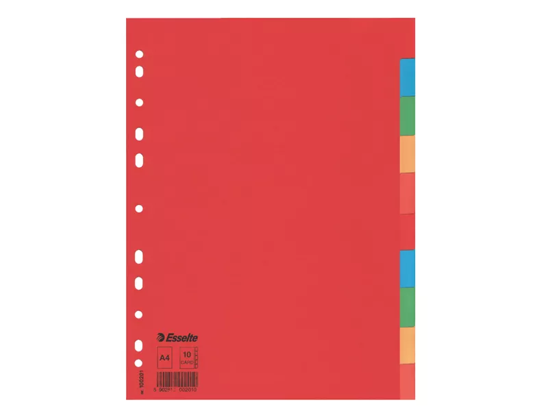Separatori in Cartoncino Esselte - A4 - 10 Tasti - 100201 (Assortiti)