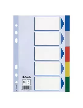 Intercalare Neutro in PPL Esselte - A5 - 5 Tasti - 15264 (Multicolore)