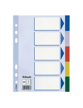 Intercalare Neutro in PPL Esselte - A5 - 5 Tasti - 15264 (Multicolore)