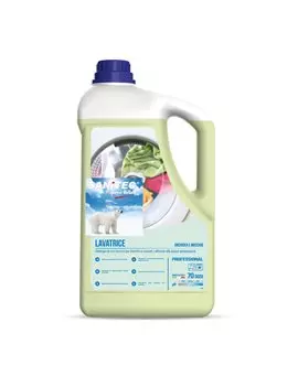 Detersivo Liquido per Lavatrice Sanitec - 5 Litri - 2025 (Orchidea e Muschio)