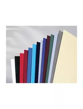 Copertine in Cartoncino per Rilegatura GBC - A4 Goffrata - CE040029 (Blu Scuro Conf. 100)