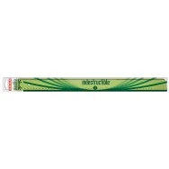 Riga Elastika Arda - 50 cm - EL50 (Verde Trasparente)
