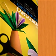 Cartoncino Colorato CartaCrea Fabriano - 35x50 cm - 220 g - 46435108 (Arancio Conf. 10)