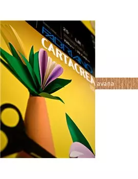 Cartoncino Colorato CartaCrea Fabriano - 35x50 cm - 220 g - 46435103 (Avana Conf. 10)