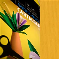 Cartoncino Colorato CartaCrea Fabriano - 35x50 cm - 220 g - 46435103 (Avana Conf. 10)