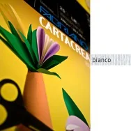 Cartoncino Colorato CartaCrea Fabriano - 35x50 cm - 220 g - 46435100 (Bianco Conf. 10)