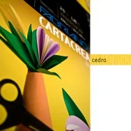 Cartoncino Colorato CartaCrea Fabriano - 35x50 cm - 220 g - 46435125 (Cedro Conf. 10)