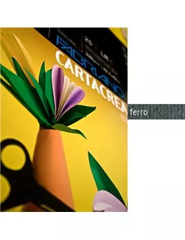 Cartoncino Colorato CartaCrea Fabriano - 35x50 cm - 220 g - 46435122 (Ferro Conf. 10)
