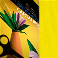 Cartoncino Colorato CartaCrea Fabriano - 35x50 cm - 220 g - 46435107 (Giallo Conf. 10)
