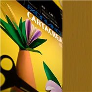 Cartoncino Colorato CartaCrea Fabriano - 35x50 cm - 220 g - 46435106 (Marrone Conf. 10)