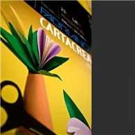 Cartoncino Colorato CartaCrea Fabriano - 35x50 cm - 220 g - 46435115 (Nero Conf. 10)