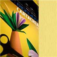 Cartoncino Colorato CartaCrea Fabriano - 35x50 cm - 220 g - 46435117 (Onice Conf. 10)