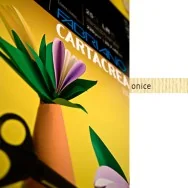 Cartoncino Colorato CartaCrea Fabriano - 35x50 cm - 220 g - 46435117 (Onice Conf. 10)